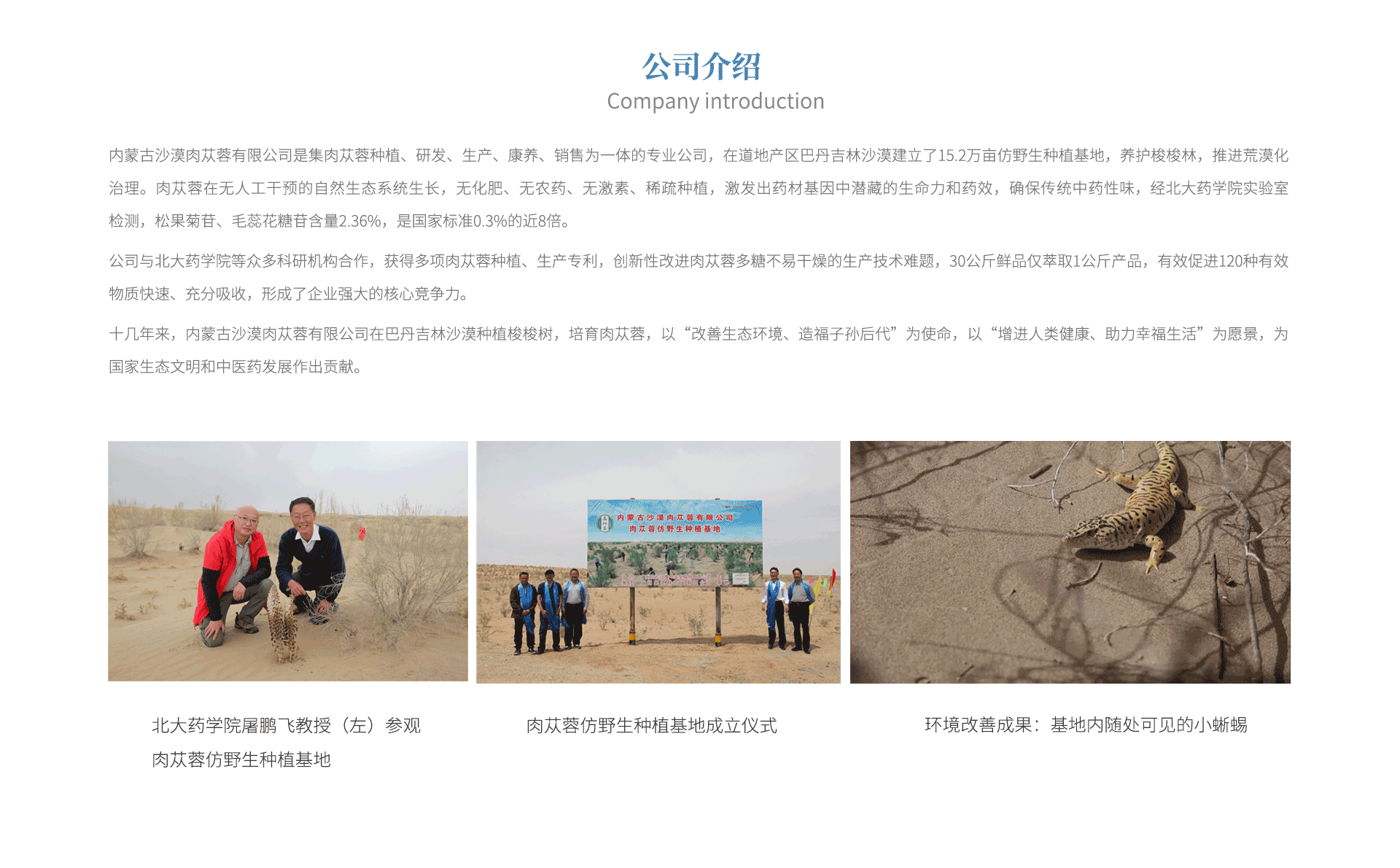 01公司介绍.png