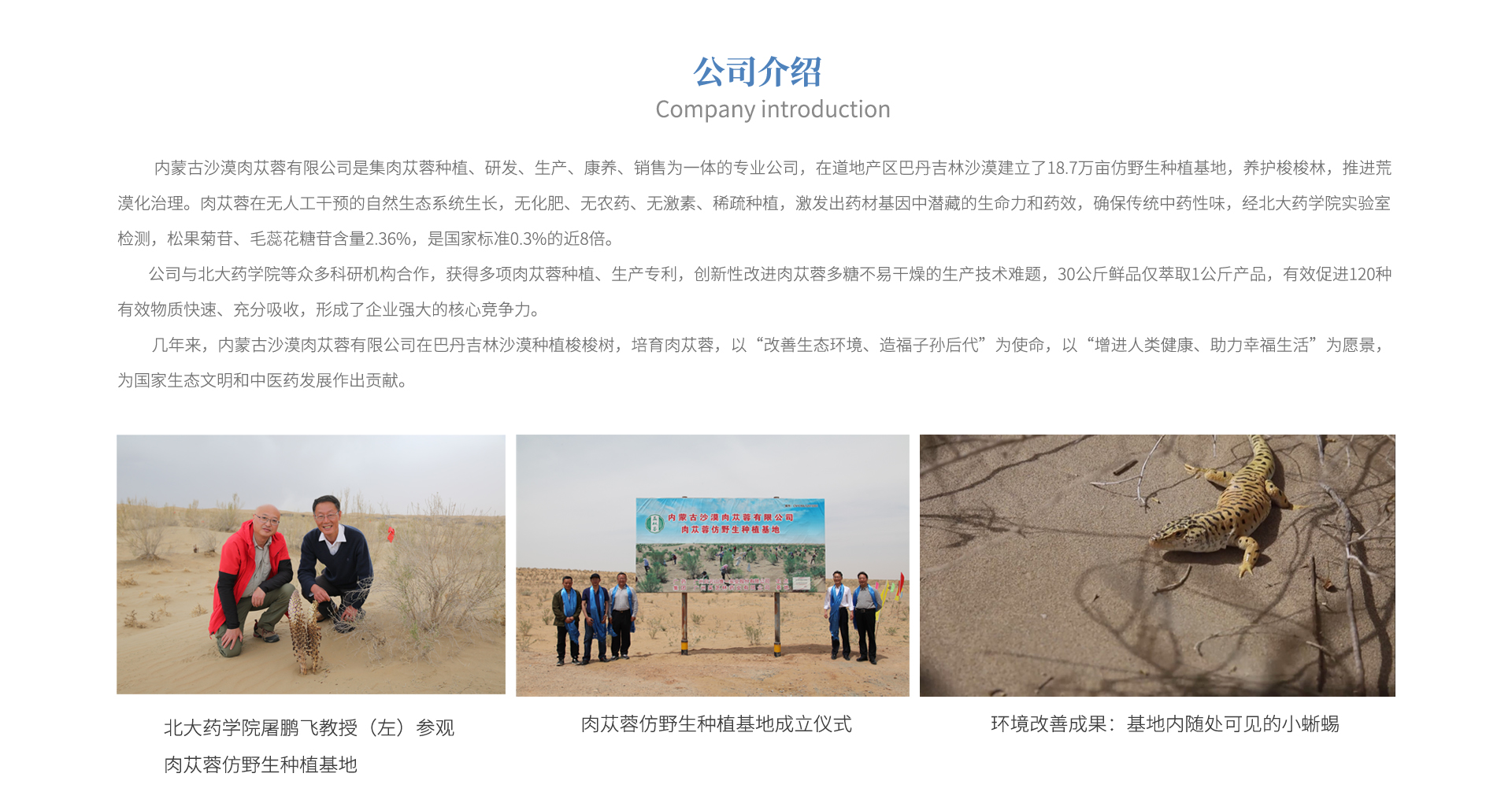 二级页面  益公司介绍gai.jpg