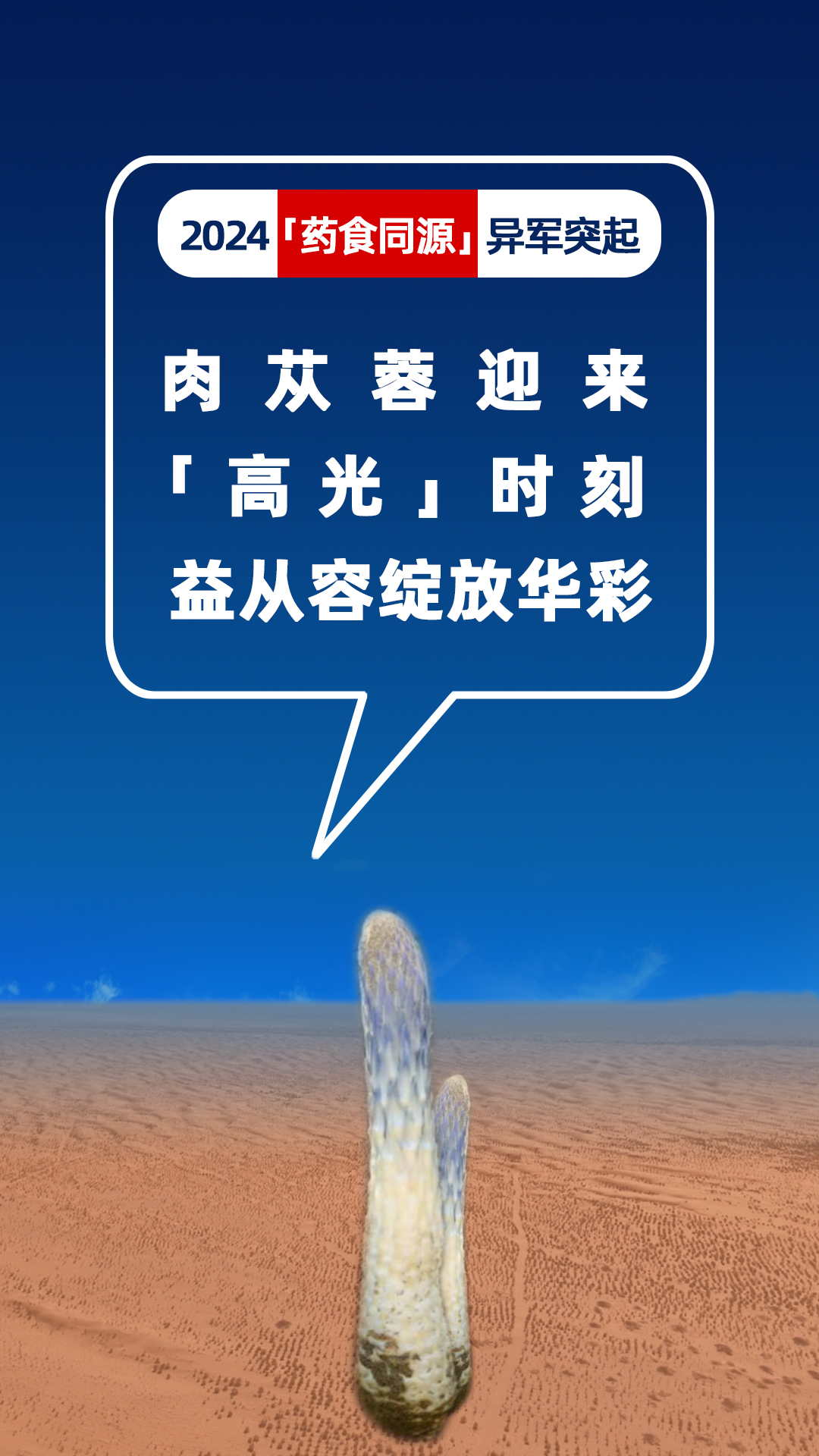 2024盘点推文1.jpg